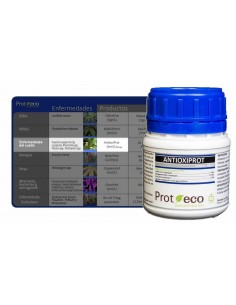 Prot Eco - Antioxiprot 100 mL - Protezione e Cura Marciume Radicale 2