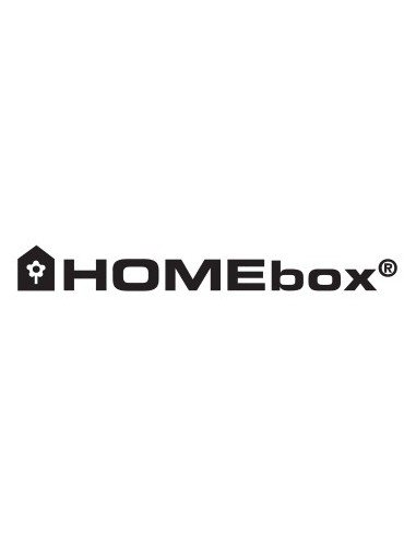 HOMEbox - Ambient Q100 - 100x100x220