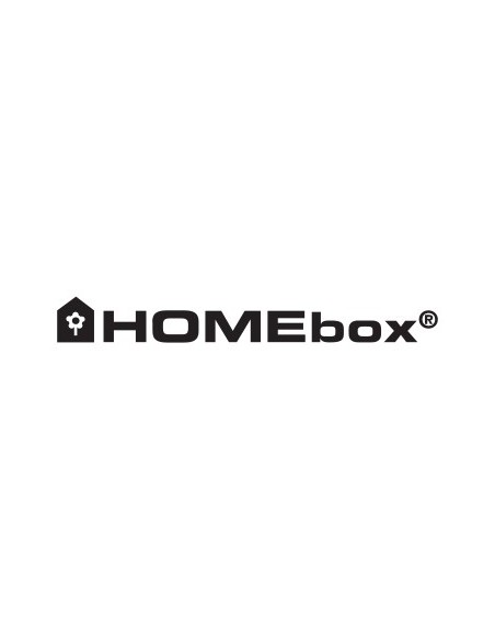HOMEbox - Ambient Q120 +