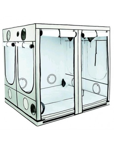 HOMEbox - Ambient Q240 +