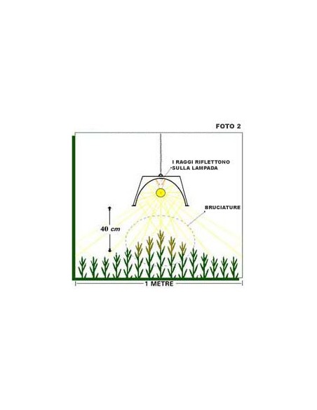 ADJUST-A-WINGS - ENFORCER MEDIUM