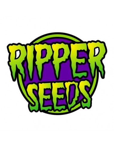 Ripper Seeds - Do-G - 1 seme