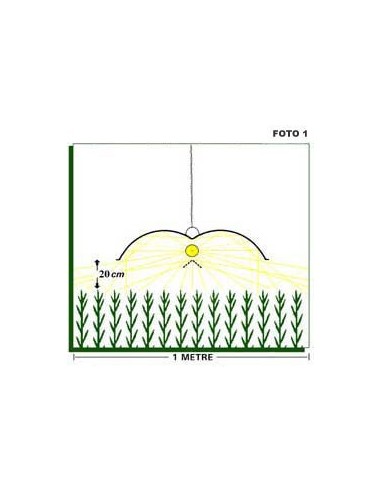 ADJUST-A-WINGS - ENFORCER