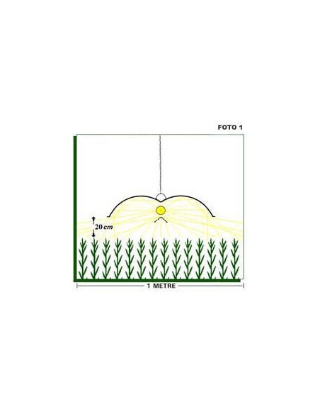 ADJUST-A-WINGS - ENFORCER
