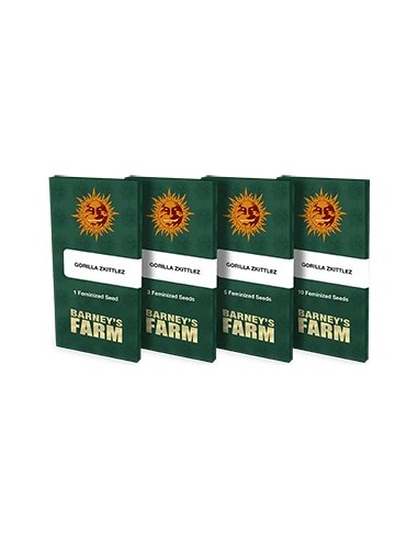Barney's Farm - Gorilla Zkittlez - 1 Seme - Femminizzato