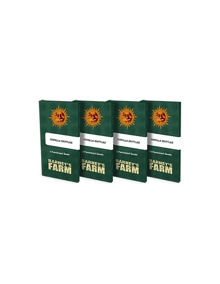 Barney's Farm - Gorilla Zkittlez - 3 Semi - Femminizzati