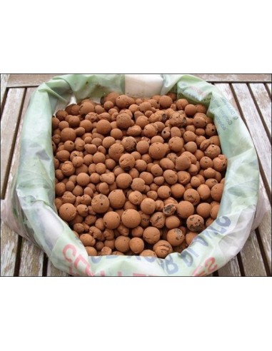 CANNA ARGILLA ESPANSA 45L