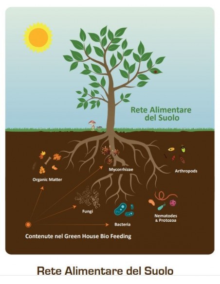 Green House - Feeding Powder - Bio Enhancer 125 g