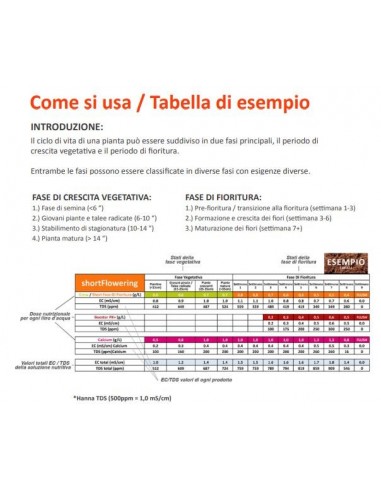 Powder Feeding Hybrid 500 Gr
