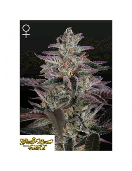 Green House Seeds - Banana Krumble - 1 Seme Femminizzato