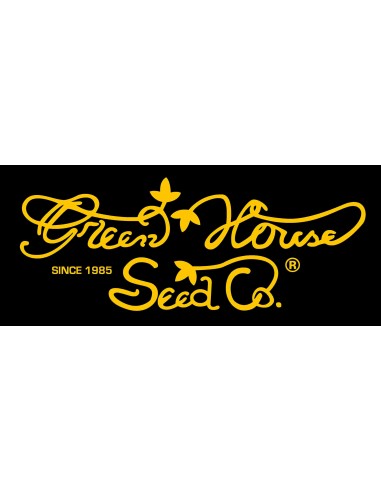 Green House Seeds - King's Juice - 1 Seme Femminizzato