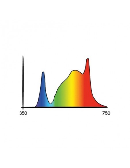New Secret Jardin - Cosmorrow LED Blooming - 20W