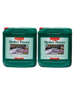 Canna - Hydro Flores -...