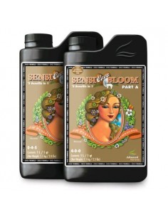 Advanced Nutrients - Sensi Coco bloom -  A+ B - 2x1L