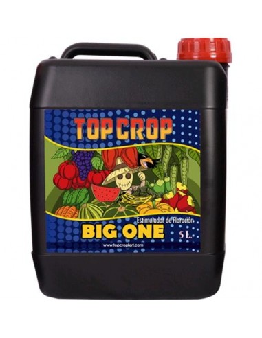 Top Crop - Big One - 5L
