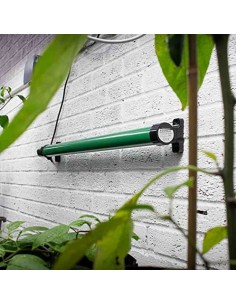 Tappetino termico per piante con regolatore del termostato Riscaldatori per  serra regolabili impermeabili per accelerare la germinazione dei semi e il  rettile, 50,8 * 50,8 cm
