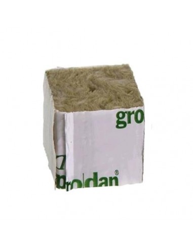 Grodan - Cubetto Lana di Roccia - 4X4X4 - Per Germinazione