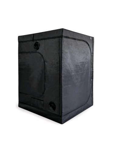 Dobermann Tend - 150 x 150 x 200 cm