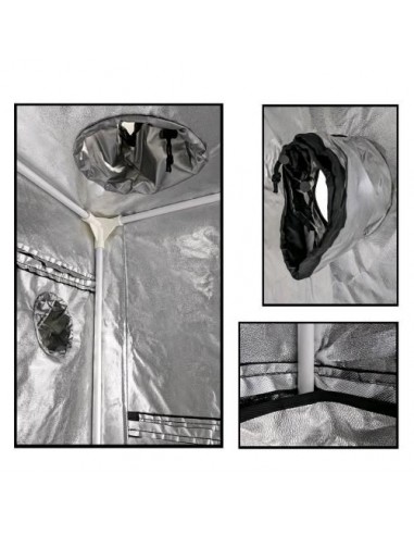 Dobermann Tend - 80 x 80 x 160 cm