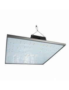 Pure led - Quantum Board - 240W
