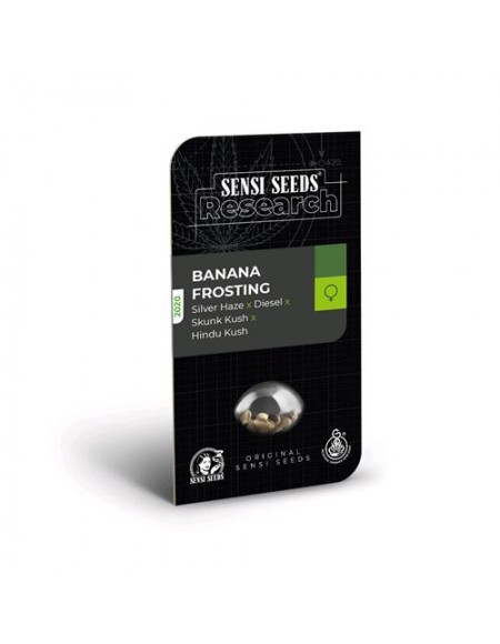 SENSI SEEDS - BANANA FROSTING FEMMINIZZATA - RESEARCH - 1 SEME