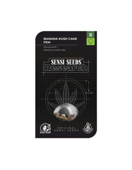 SENSI SEEDS - BANANA KUSH CAKE FEMMINIZZATA - RESEARCH - 3 SEMI