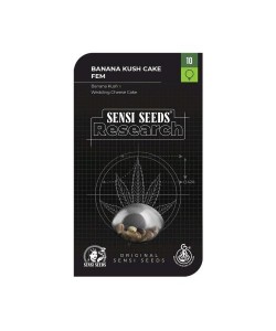 SENSI SEEDS - BANANA KUSH...