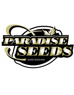 Paradise Seeds - Durga Mata - 5 Semi Femm 2