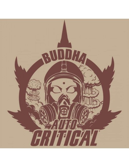 Buddha Seeds - Critical Auto