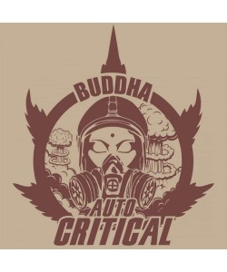 Buddha Seeds - Critical Auto