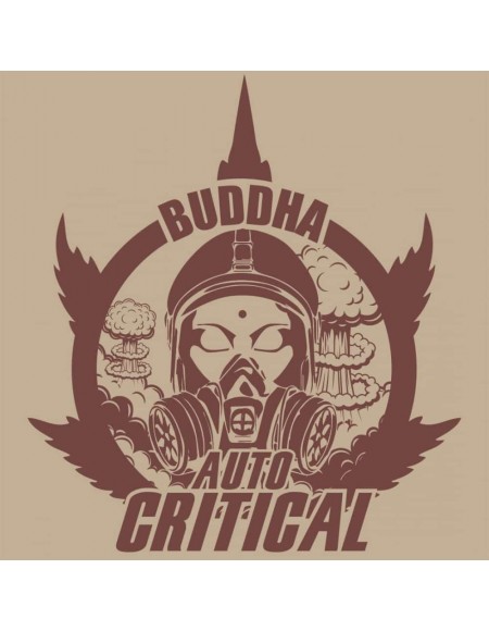 Buddha Seeds - Critical Auto