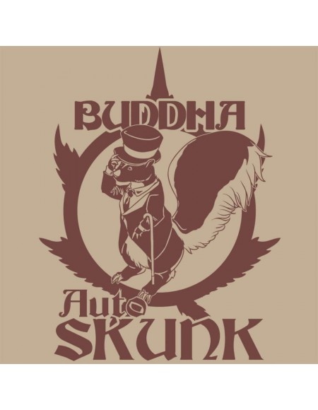 Buddha Seeds - Skunk Auto