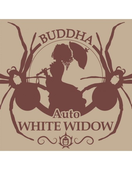 Buddha Seeds - White Widow Auto