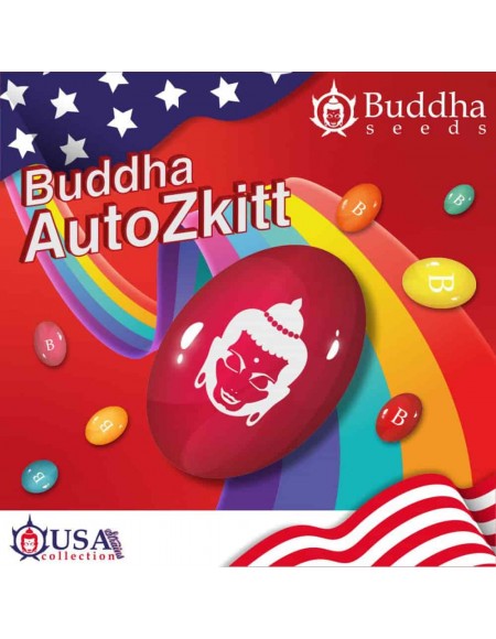 Buddha Seeds - Zkitt Auto