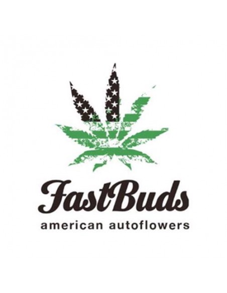 Fast Buds - Afghan Kush Auto - 100 Semi