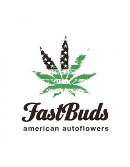 Fast Buds - Trainwreck Auto - 1 Seme