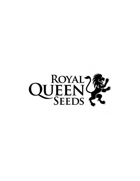 Royal Queen Seeds - Mimosa Auto - Usa Premium - 3 Semi