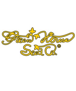 Green House Seeds - Super Critical Auto - 5 Semi 2