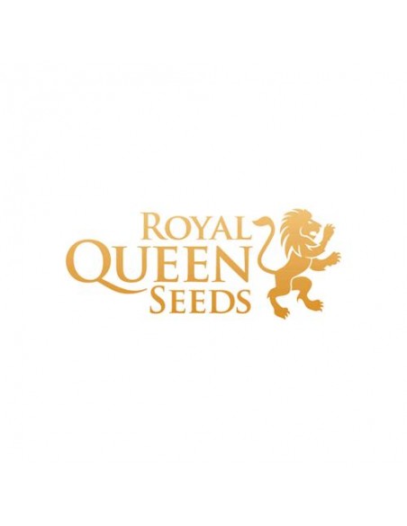 Royal Queen Seeds - Sweet ZZ Auto - 10 Semi