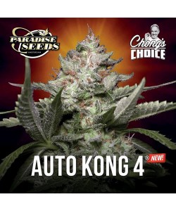 Paradise Seeds - Auto Kong 4 - 3 Semi