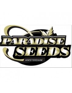 Paradise Seeds - Lemonade  Auto  - 5 Semi 2