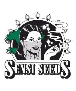 Sensi Seeds - Caramellow... 2