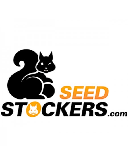 Seed Stockers - Gorilla Glue Auto - 3 Semi