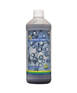 Amino