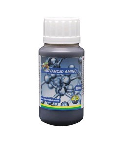 Advanced Amino