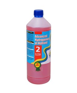 Dutch Formula Bloom