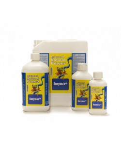 Np Enzymes+ 500 mL 2