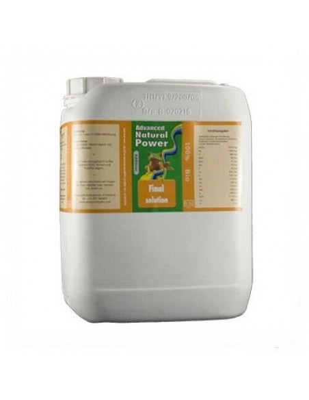 Np Final Solution Np Final Solution