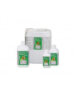 Np Root Stimolator 2
