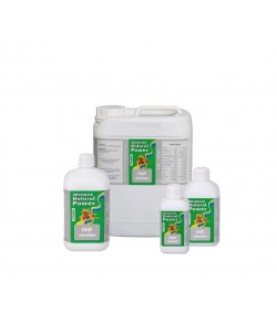 Advanced Hydroponics - Np Root Stimolator 1L 2